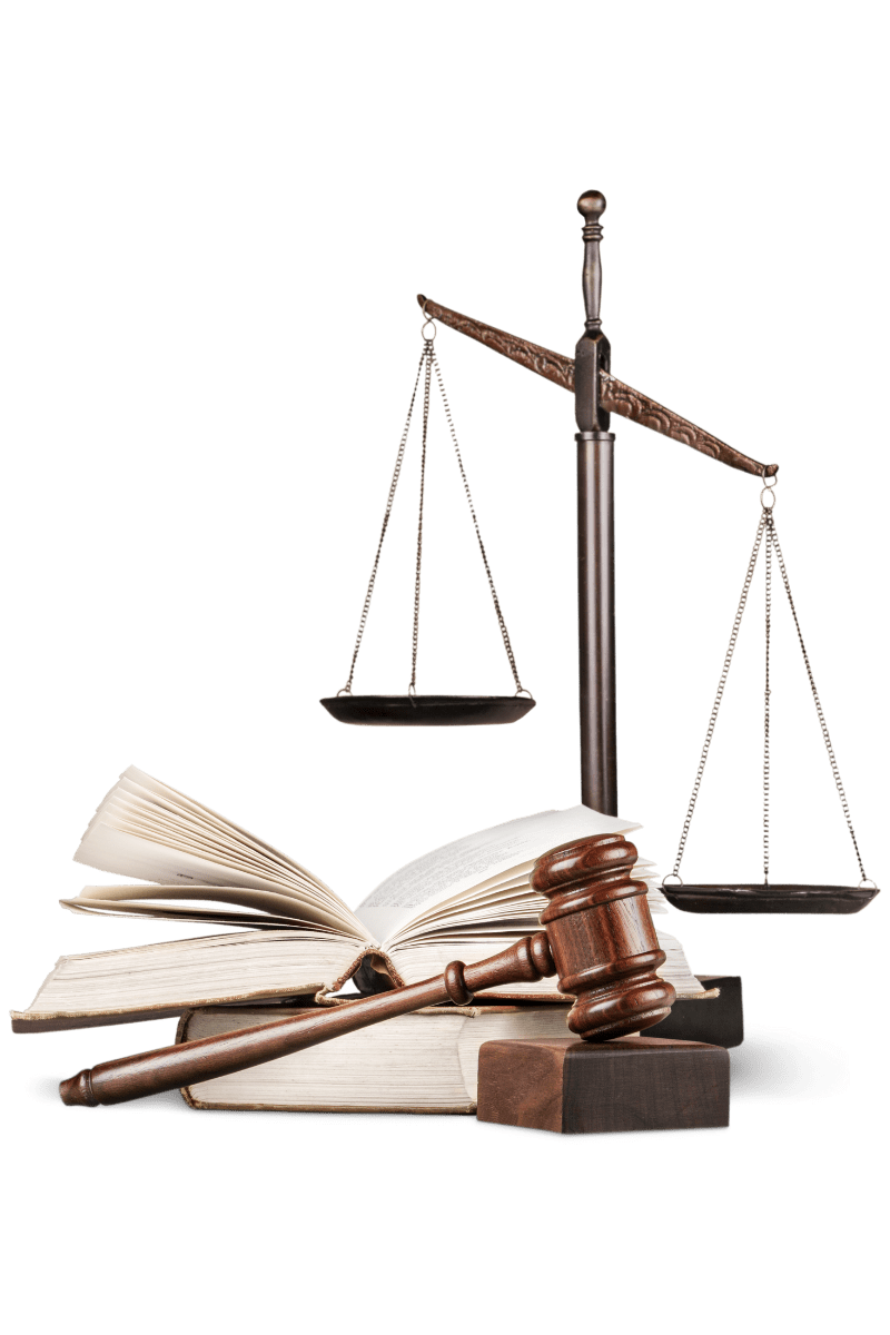 falsedaddespido despido disciplinario